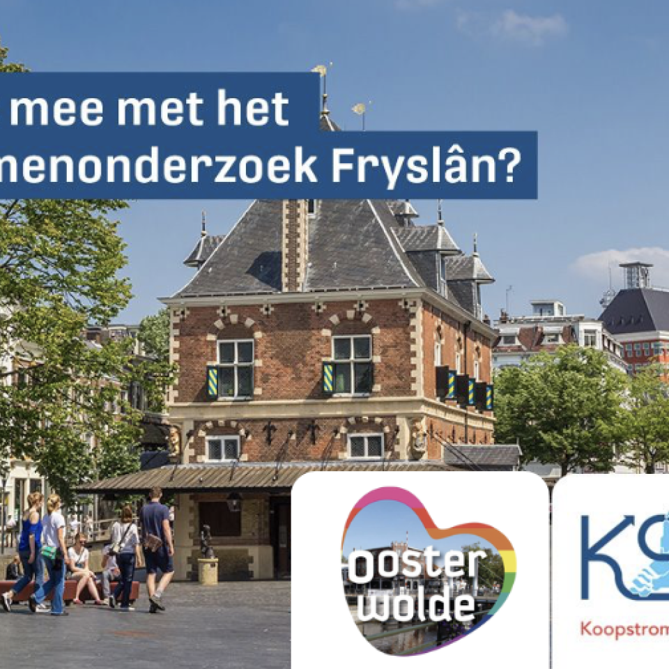 Koopstromenonderzoek Provincie Fryslân